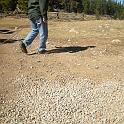 fall09 048